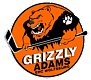 Grizzly Wolfsburg Ice Hockey